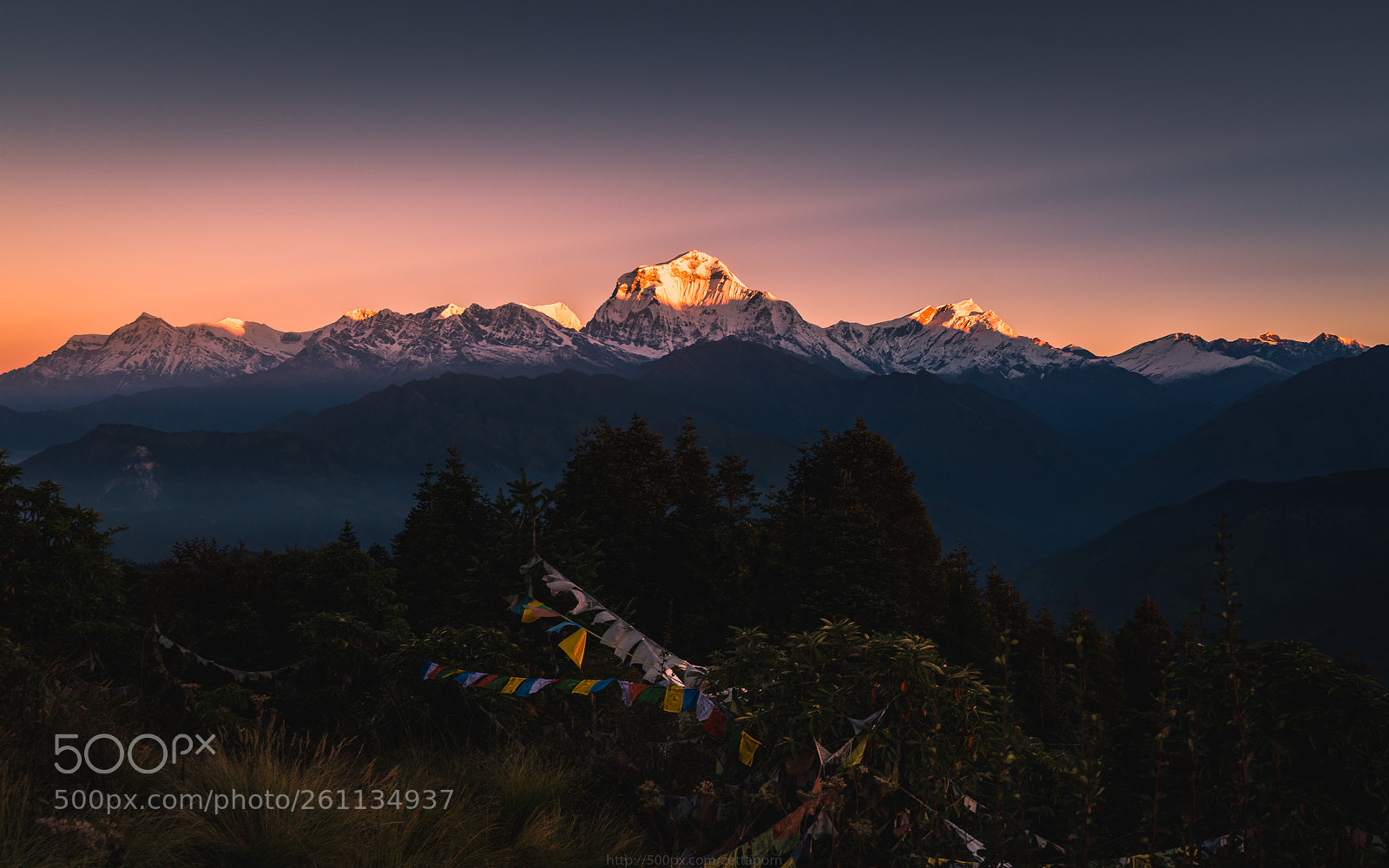 Nikon D800 sample photo. Sunrise view with dhaulagiri photography