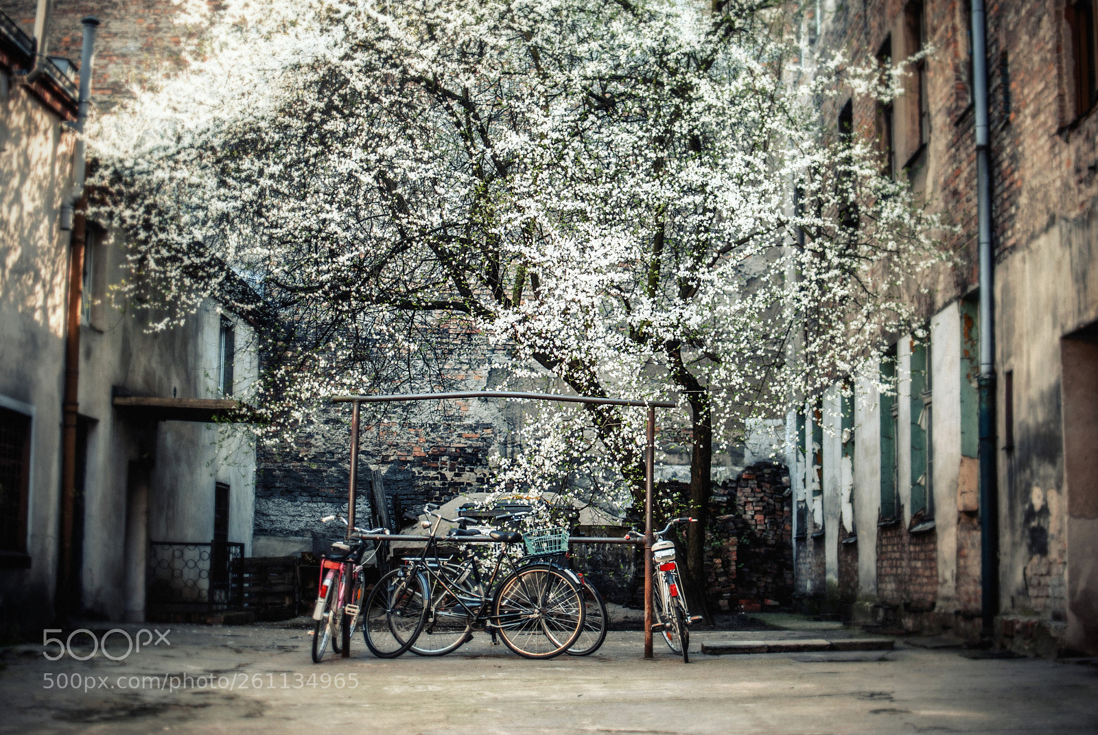 Nikon D80 sample photo. The courtyard photography