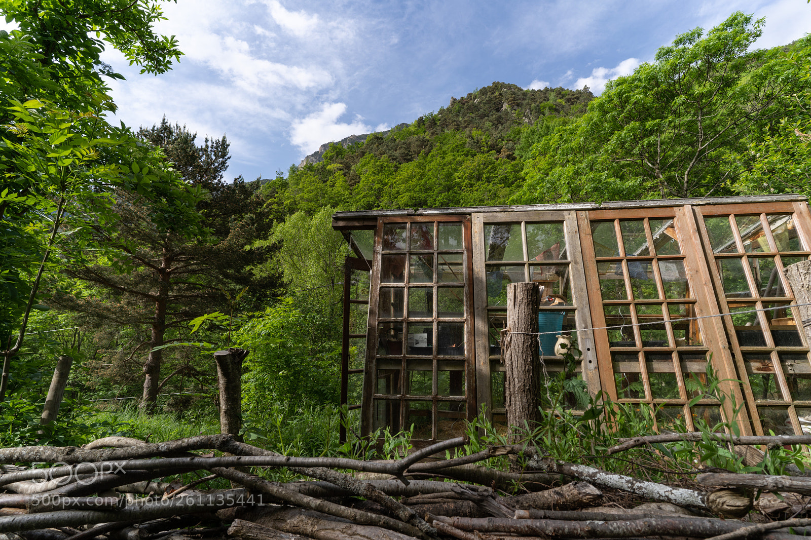 Sony a7 III sample photo. Handmade greenhouse photography