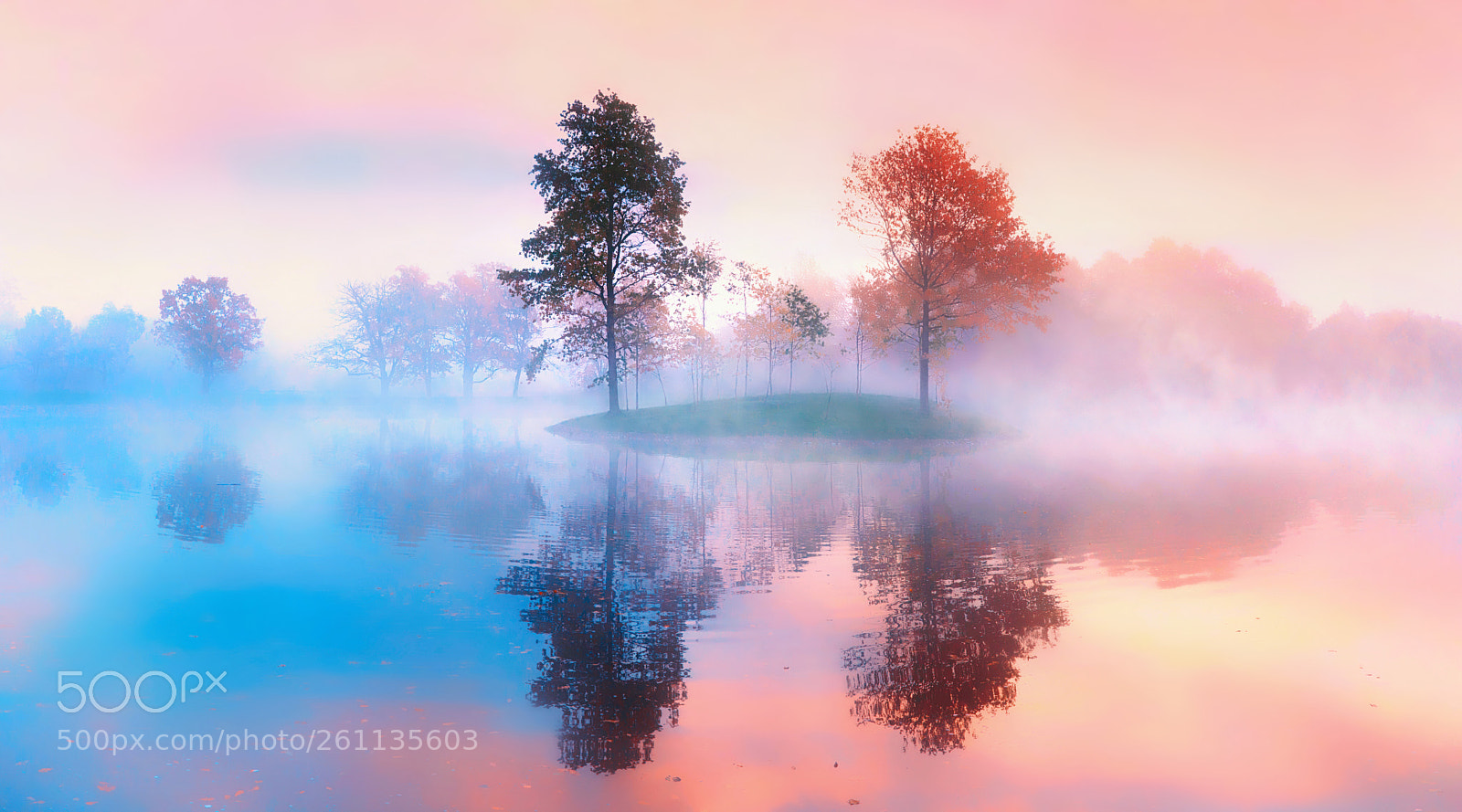 Canon EOS 50D sample photo. Nature, morning, landscape, peterhof photography