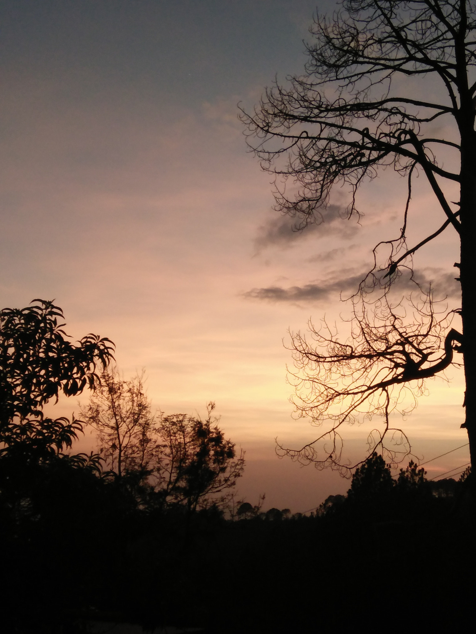 OPPO A33f sample photo