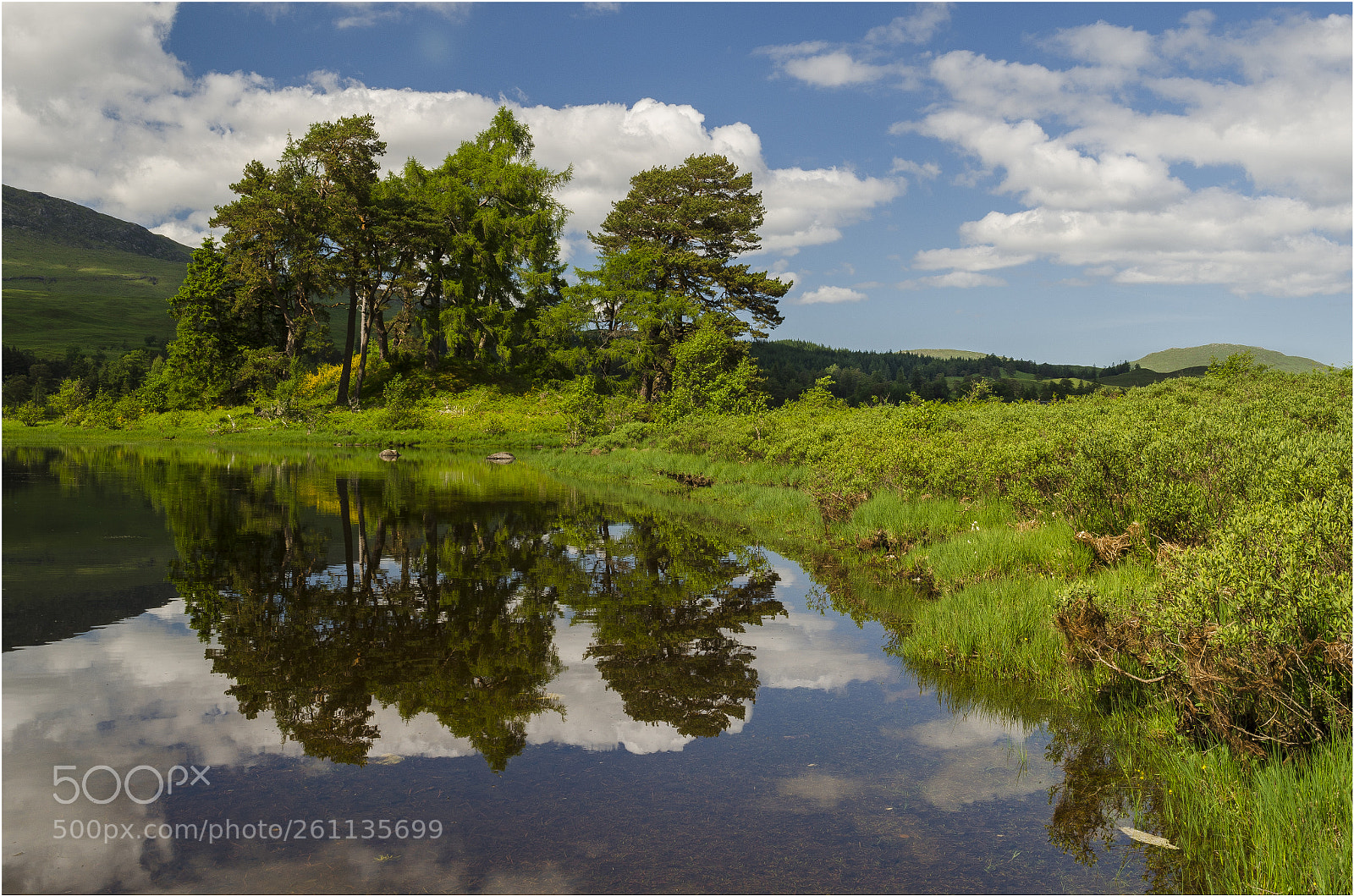 Nikon D7000 sample photo. Loch  tulla- pine  reserve photography