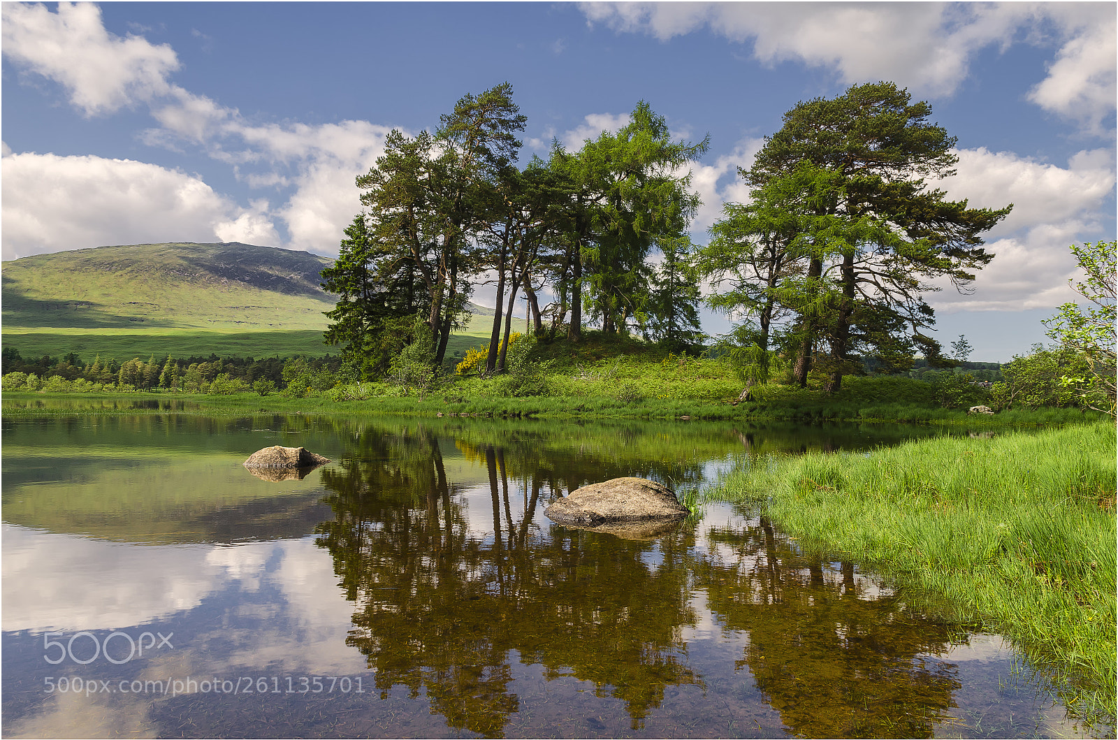 Nikon D7000 sample photo. Loch  tulla- pine  reserve photography