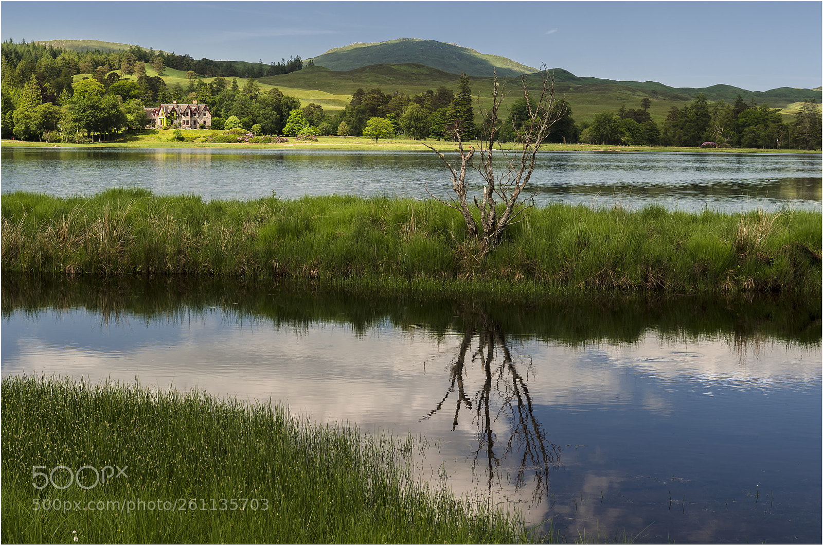 Nikon D7000 sample photo. Loch  tulla- pine  reserve photography
