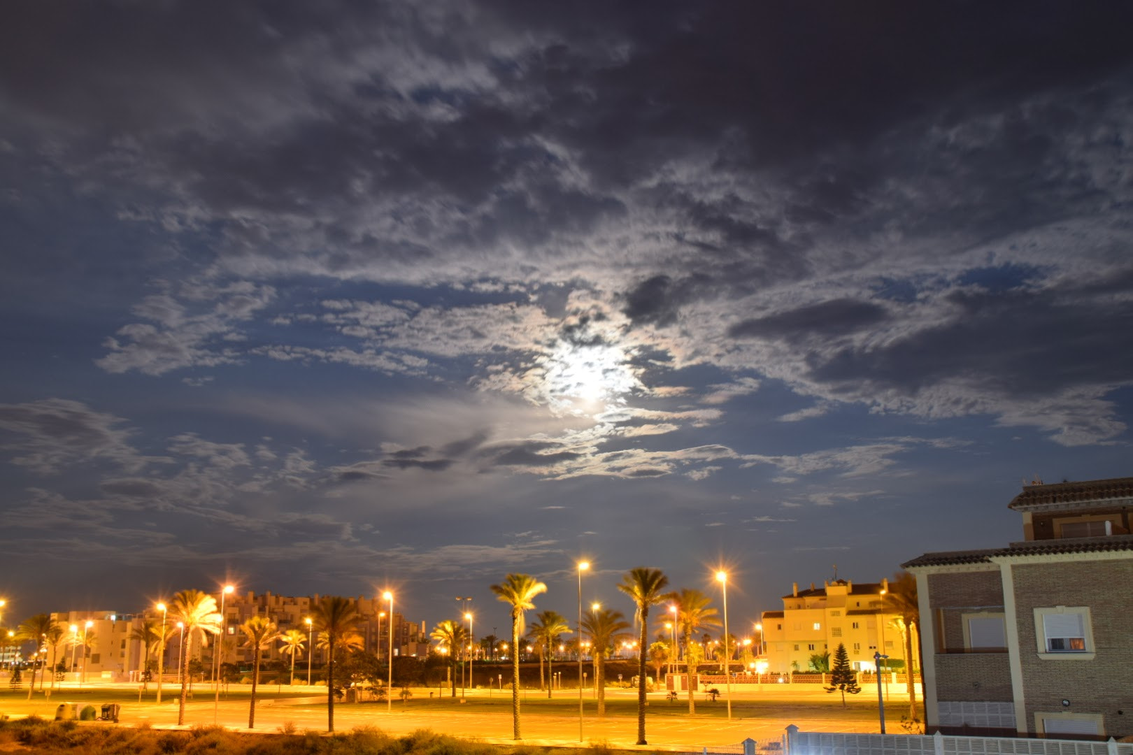 Nikon D5300 sample photo. () photography