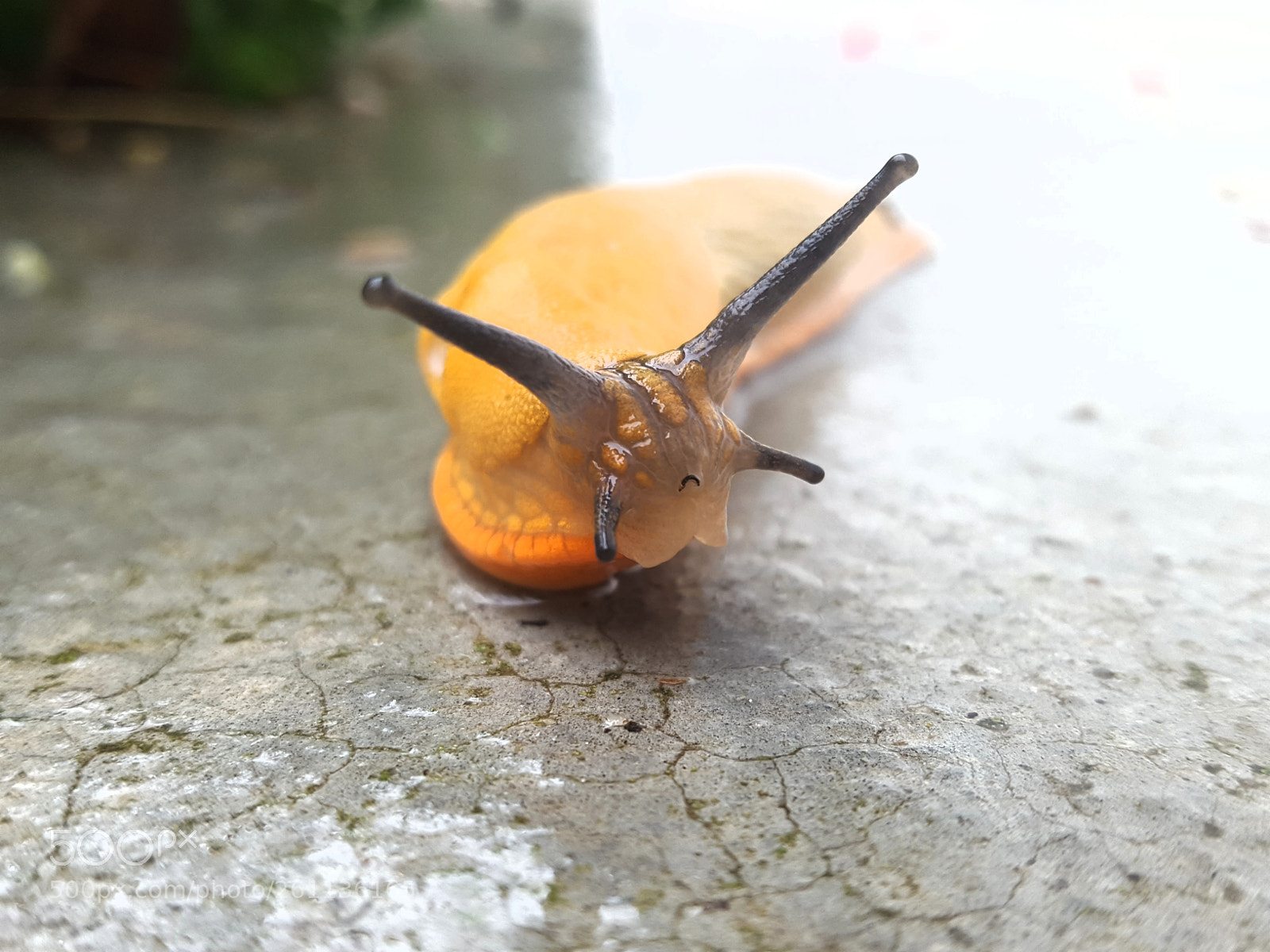 Samsung GALAXY S6 edge sample photo. Untitled photography