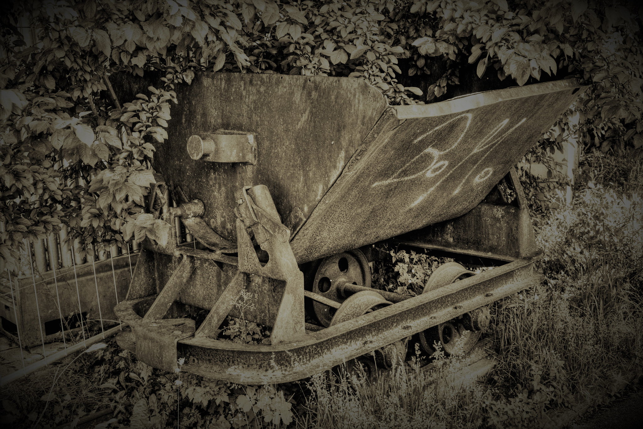 Nikon D7200 sample photo. Lore photography