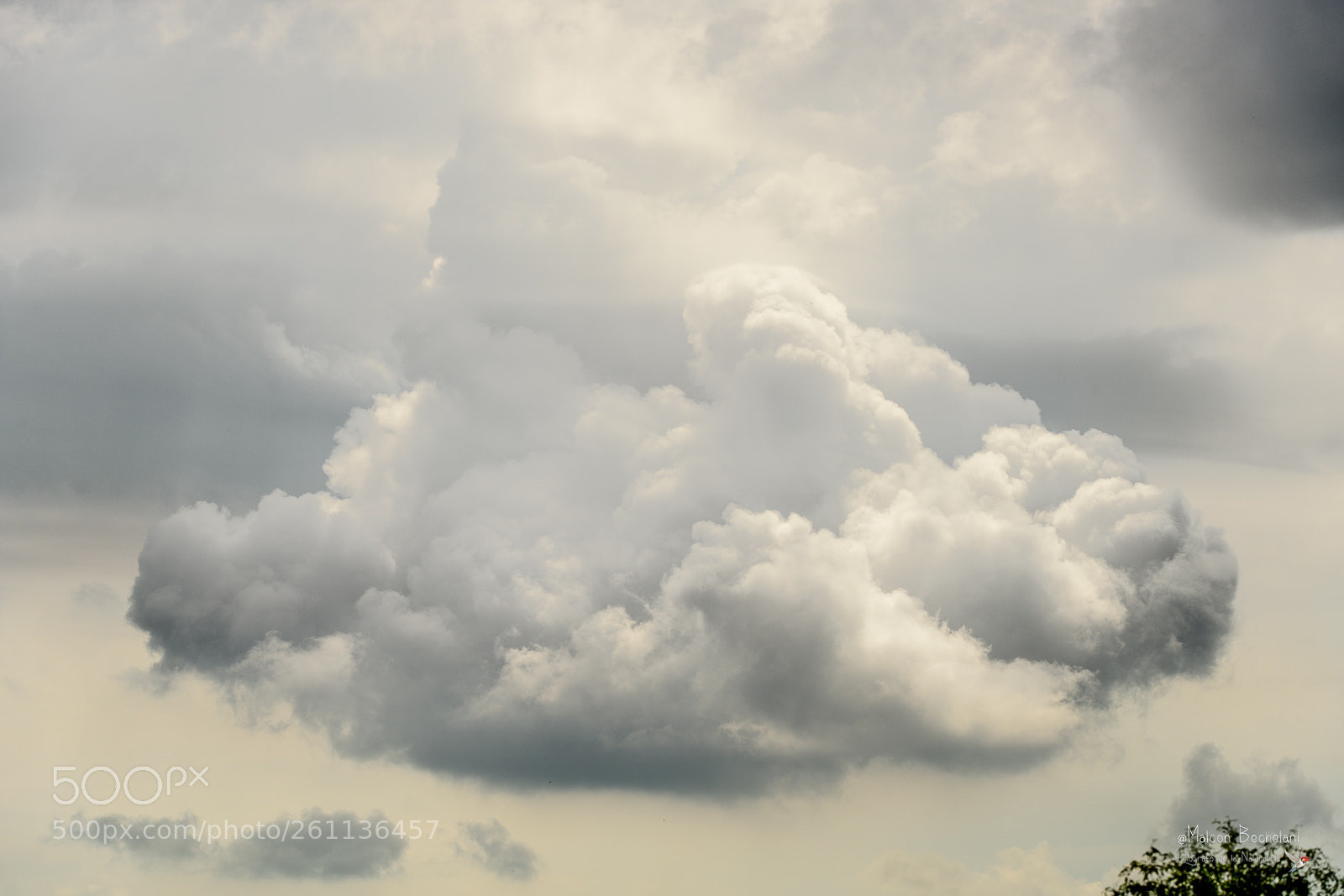 Nikon D810 sample photo. Mbs photography