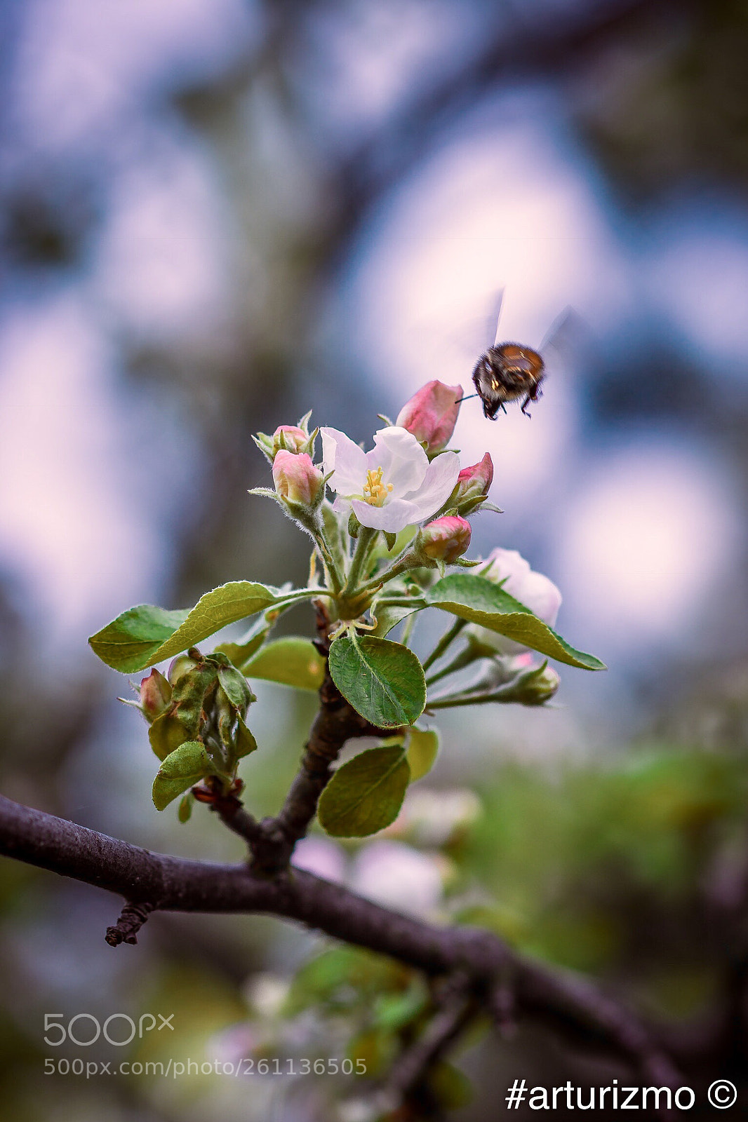 Nikon D7200 sample photo. I approach the landing photography