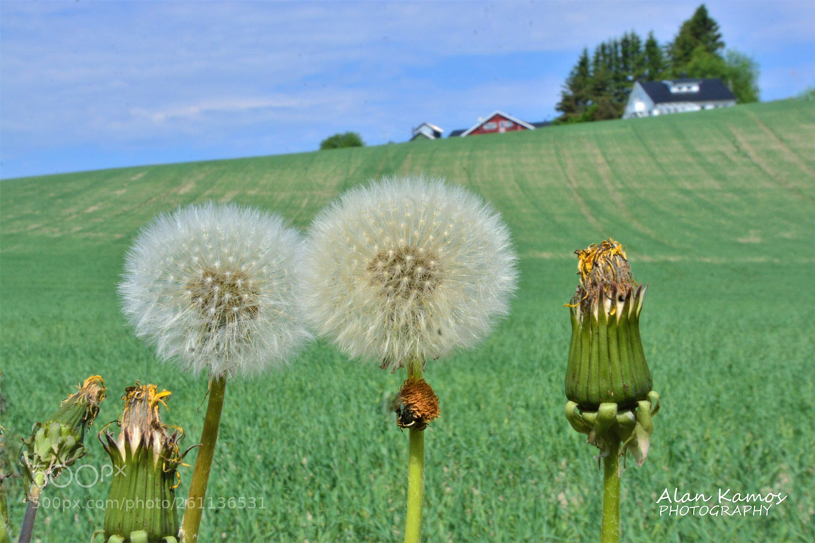 Nikon D5200 sample photo. Untitled photography