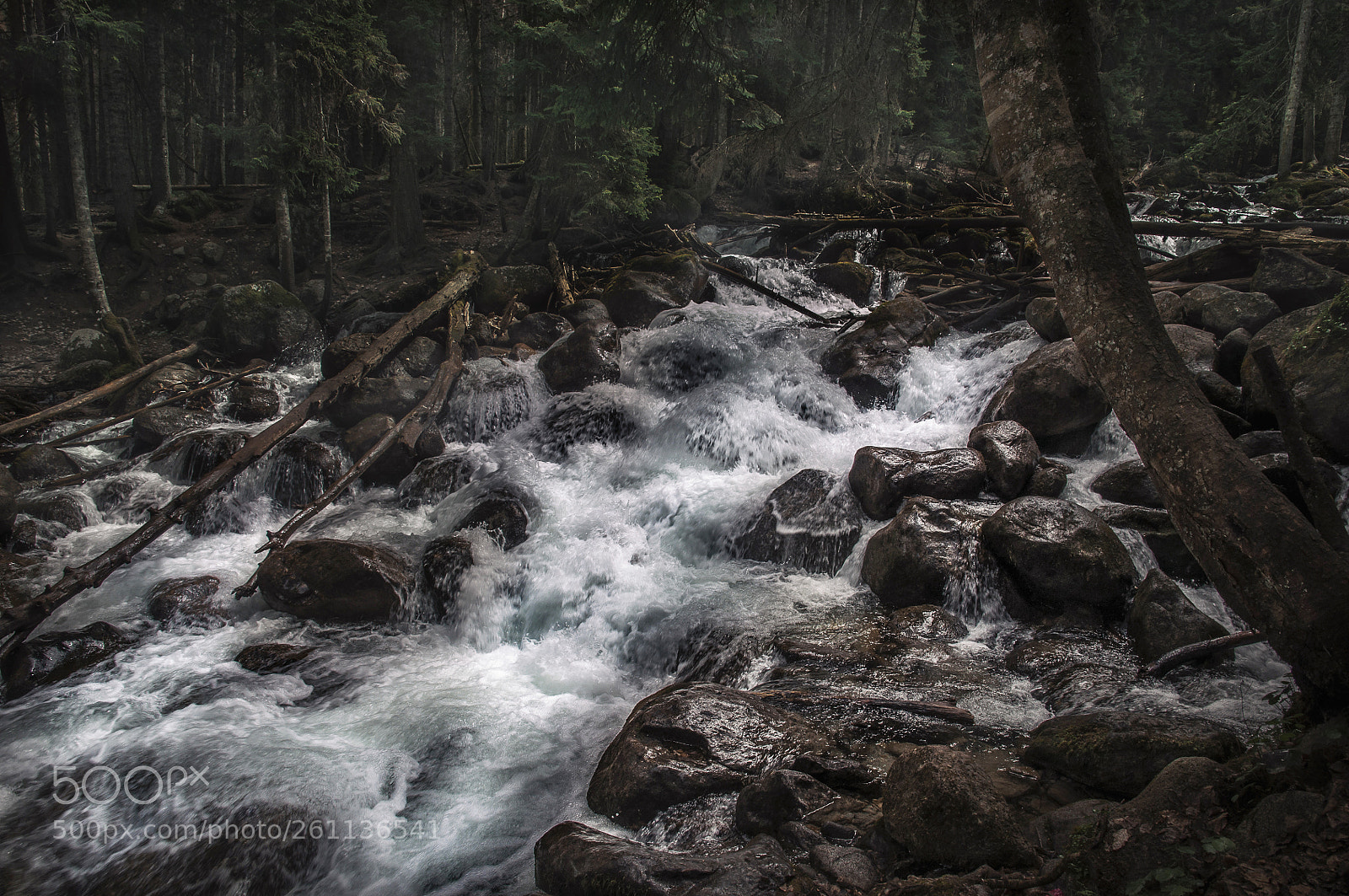 Nikon D90 sample photo. Mountain river photography