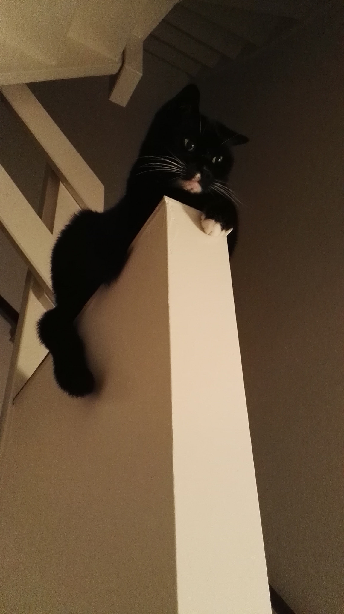 HUAWEI P8 sample photo