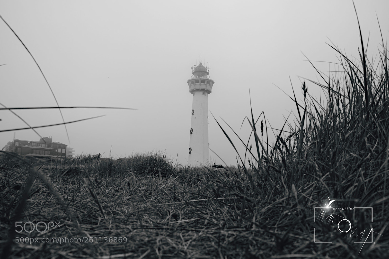 Nikon D5200 sample photo. Houbov sez na mushroom photography
