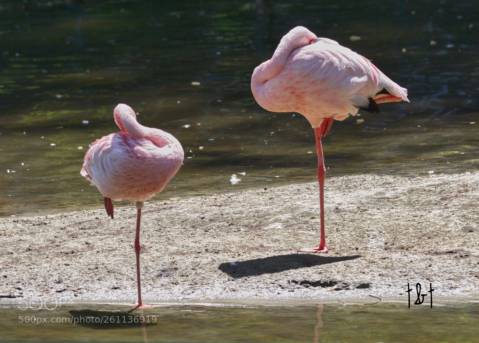 Canon EOS 7D sample photo. Untitled photography