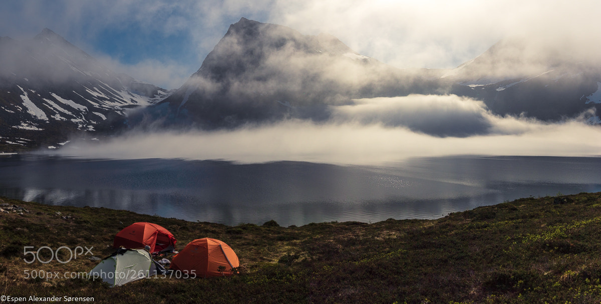 Canon EOS 7D Mark II sample photo. Foggy morning photography
