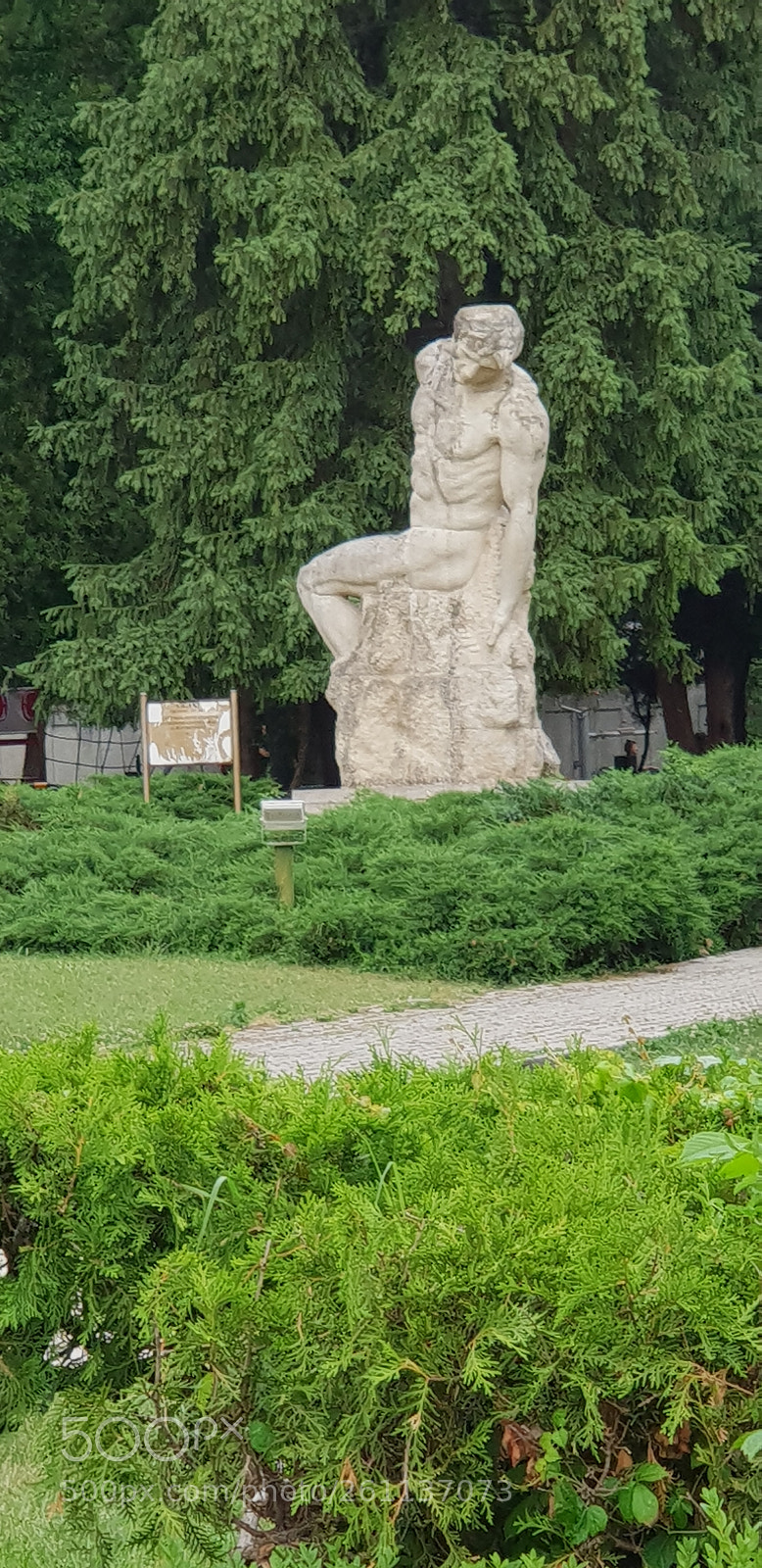 Samsung Galaxy S9+ sample photo. Untitled photography