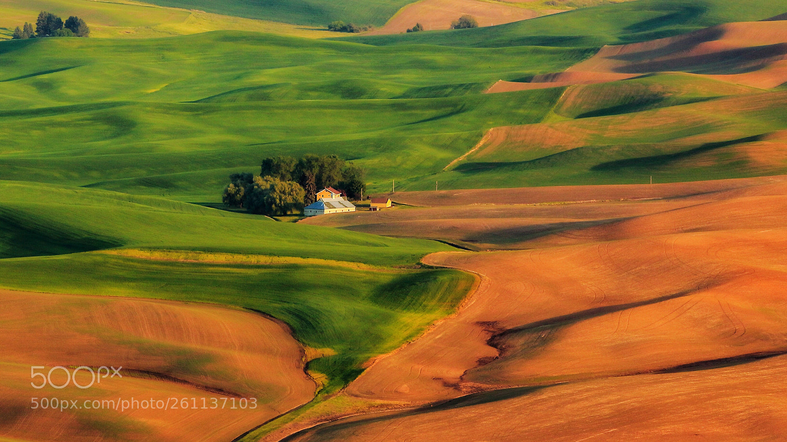 Canon EOS 50D sample photo. The rolling hills of photography