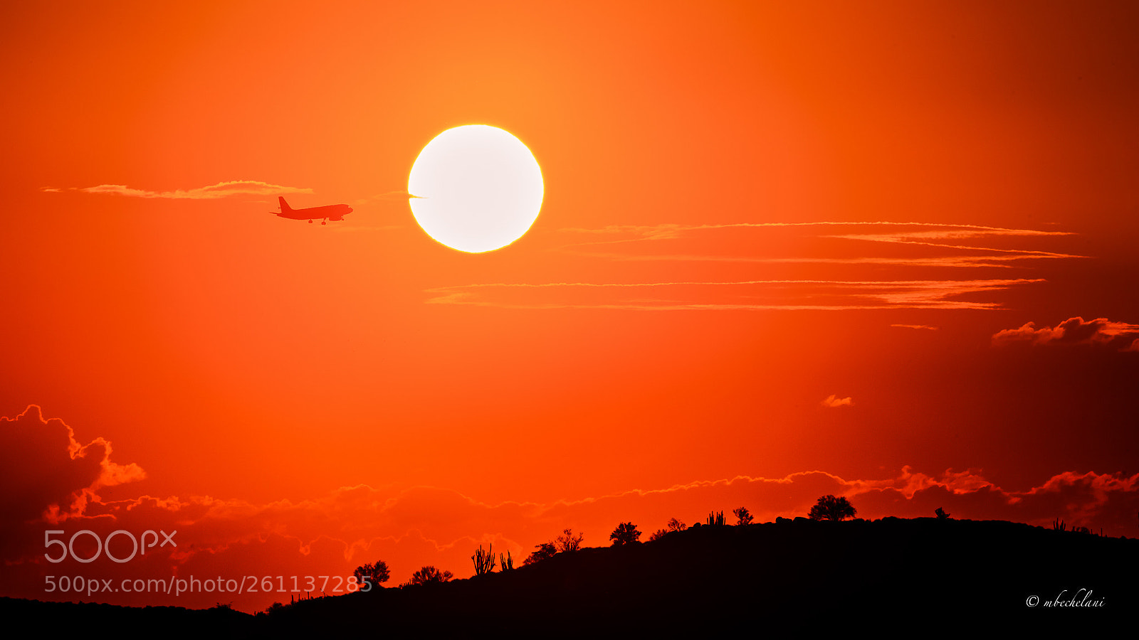 Nikon D810 sample photo. Mbs photography