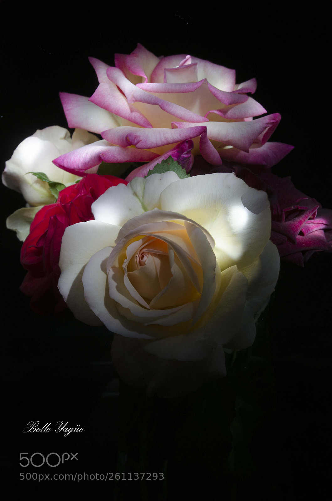 Nikon D7000 sample photo. Ramillete de rosas photography