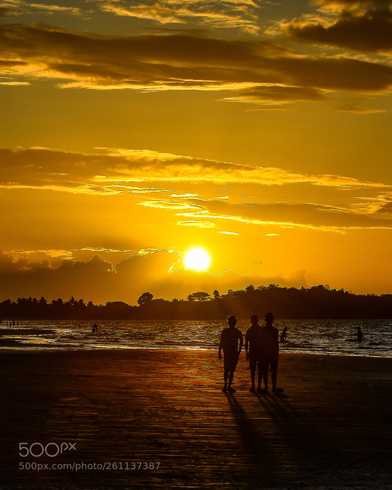 Nikon D7500 sample photo. Golden sunset photography