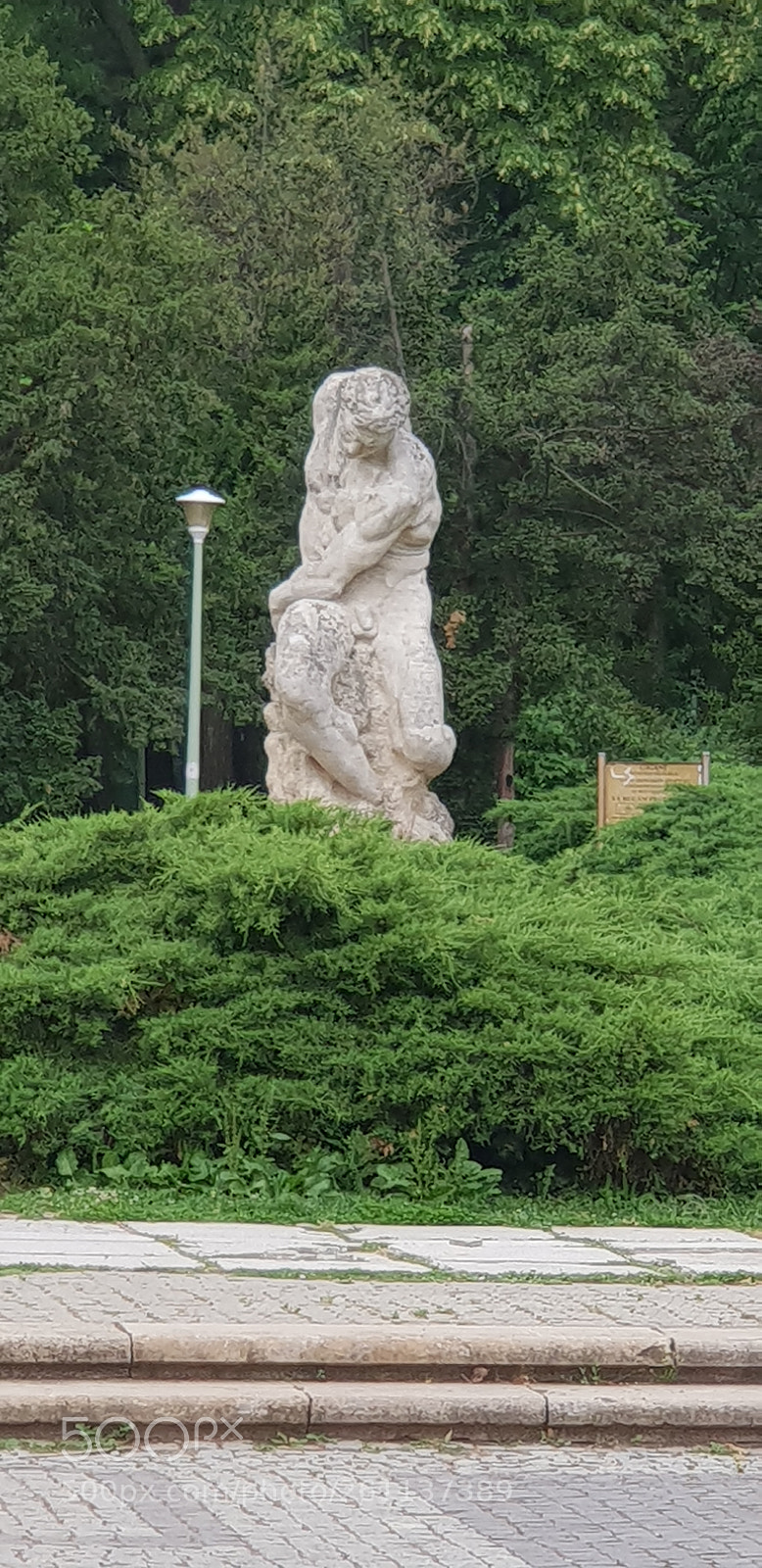 Samsung Galaxy S9+ sample photo. Untitled photography