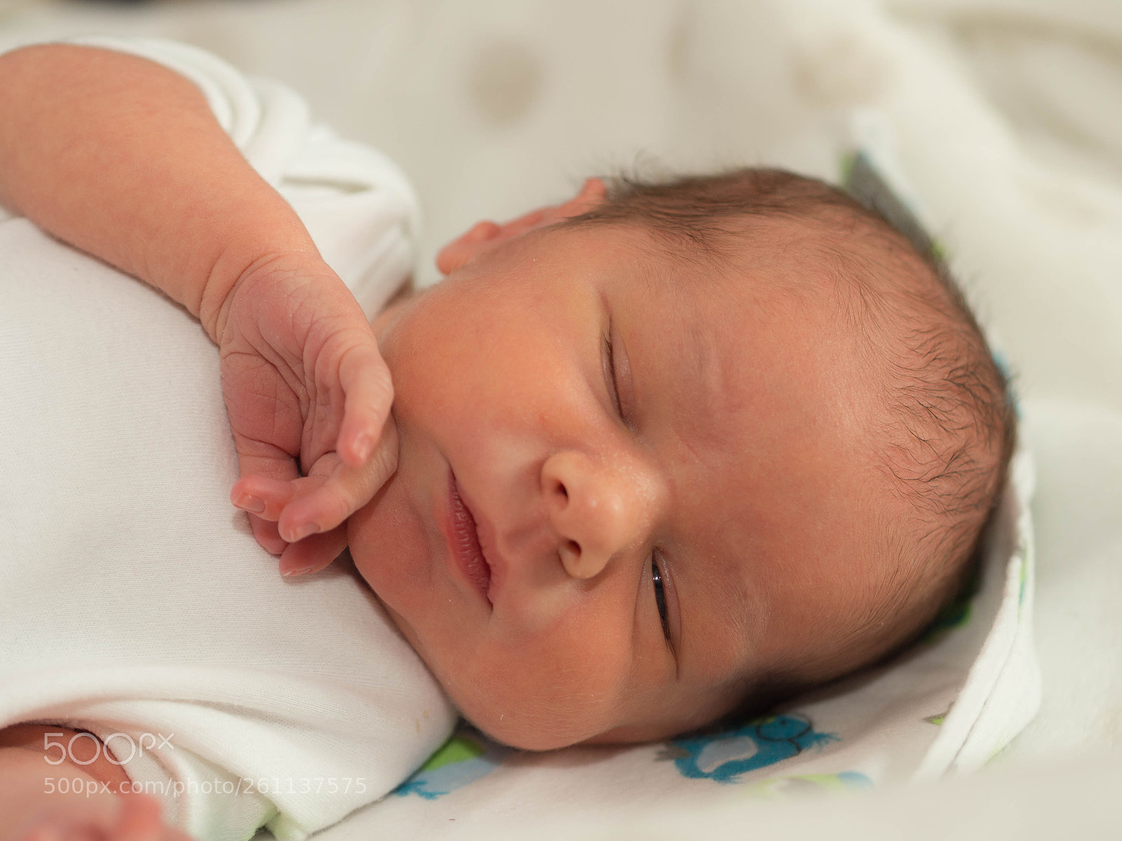 Olympus OM-D E-M10 sample photo. Newborn photography