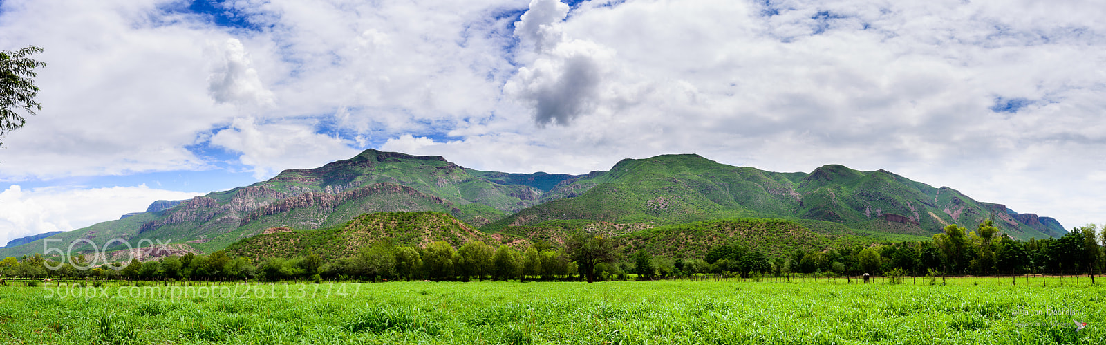 Nikon D800 sample photo. Pano photography