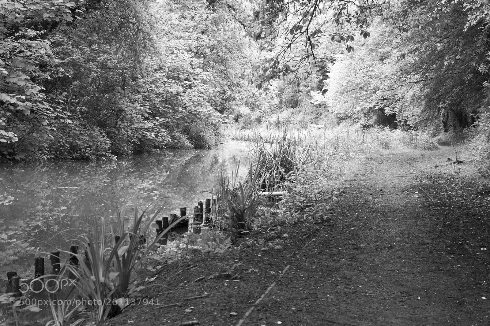 Canon EOS 7D sample photo. Canal path photography