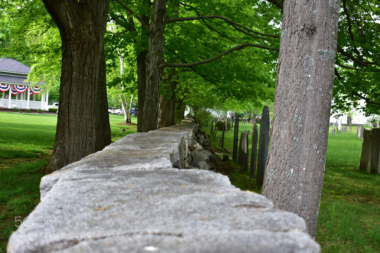 Nikon D3400 sample photo. Untitled photography