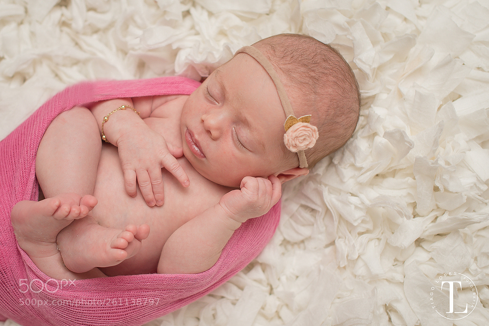 Nikon D750 sample photo. Tal photography