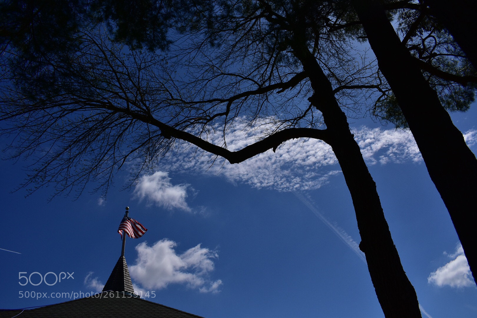 Nikon D3400 sample photo. Untitled photography