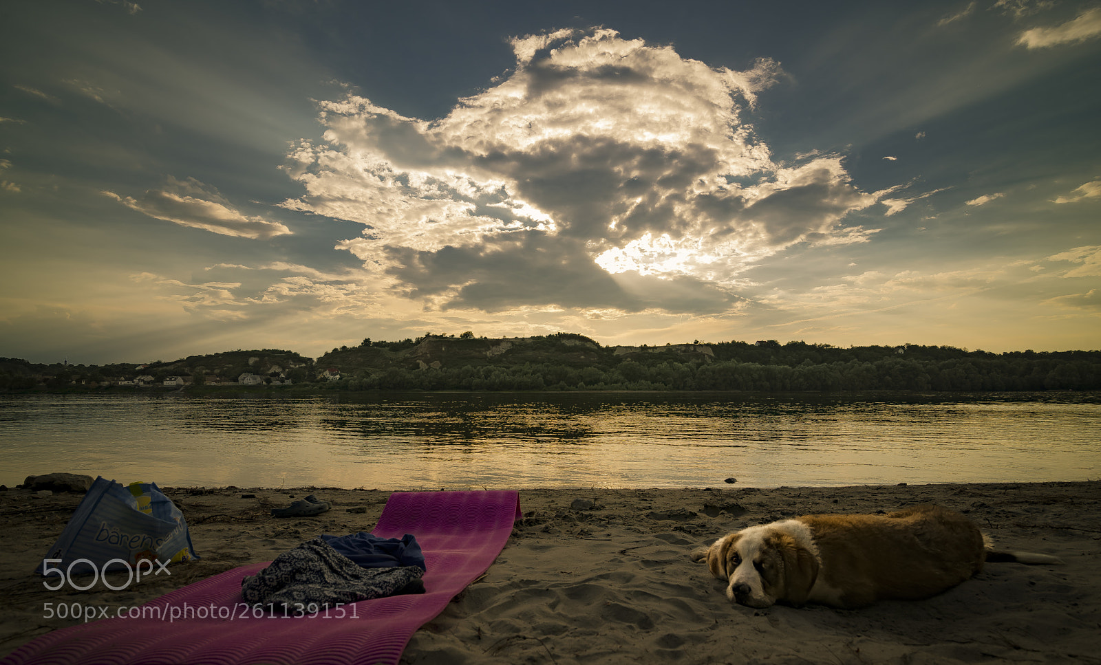 Nikon D610 sample photo. Relax photography