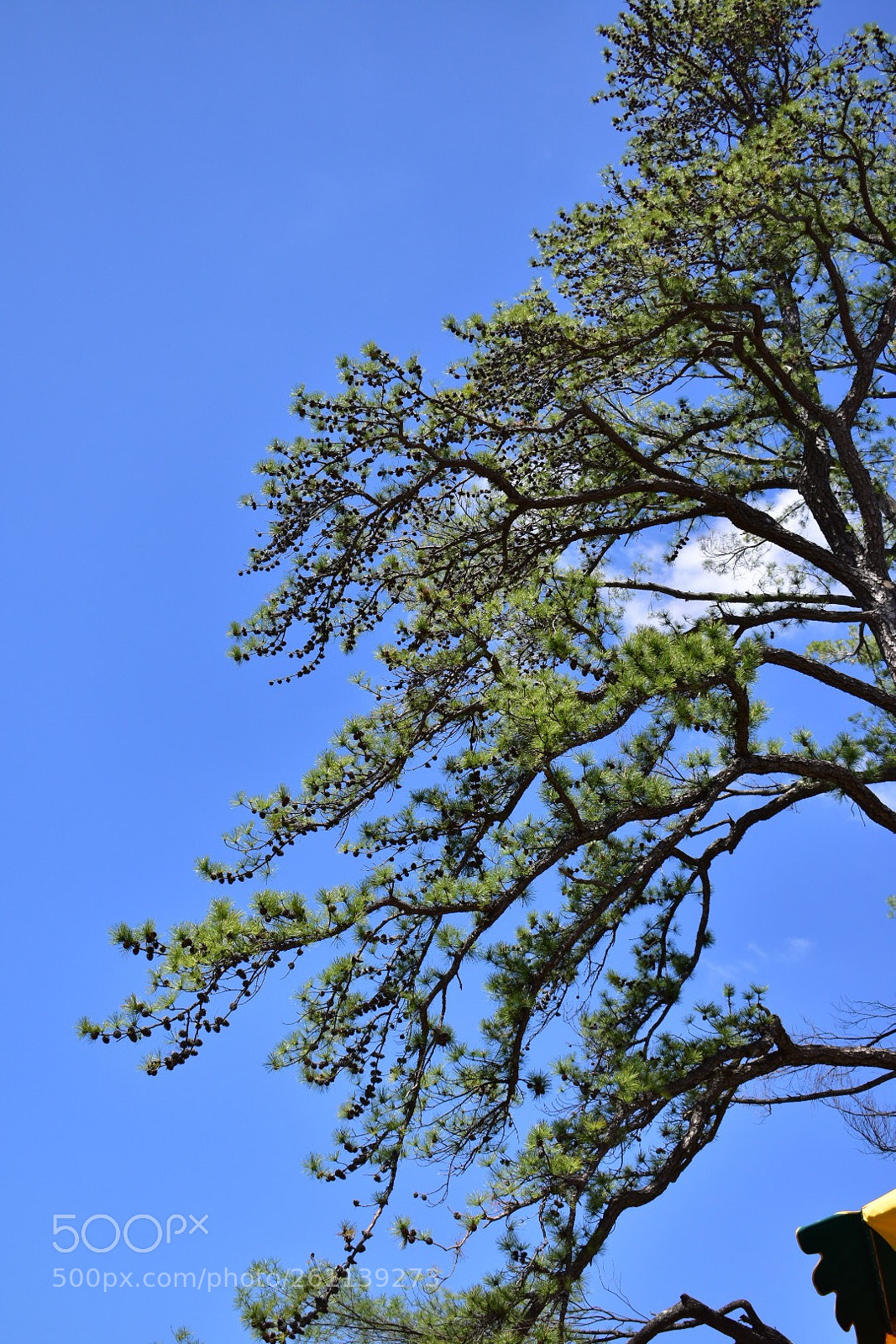 Nikon D3400 sample photo. Untitled photography