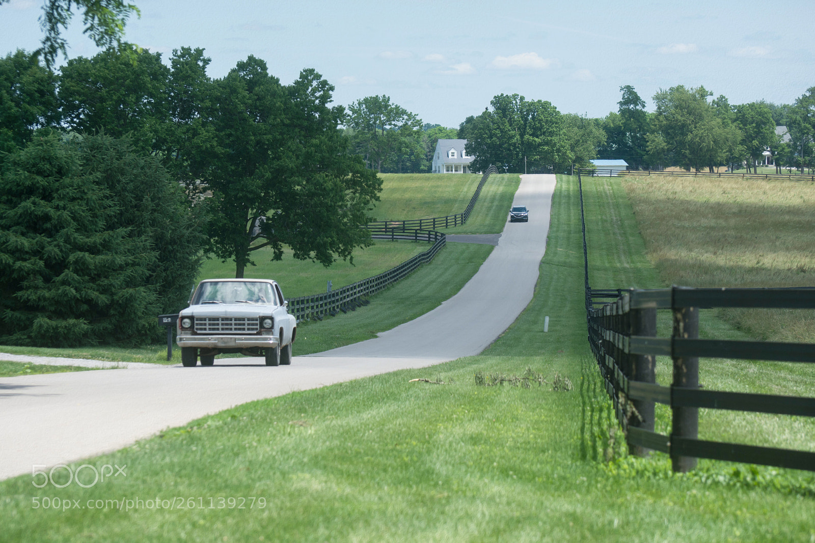Nikon D7100 sample photo. Rolling kentucky  (scott county) photography