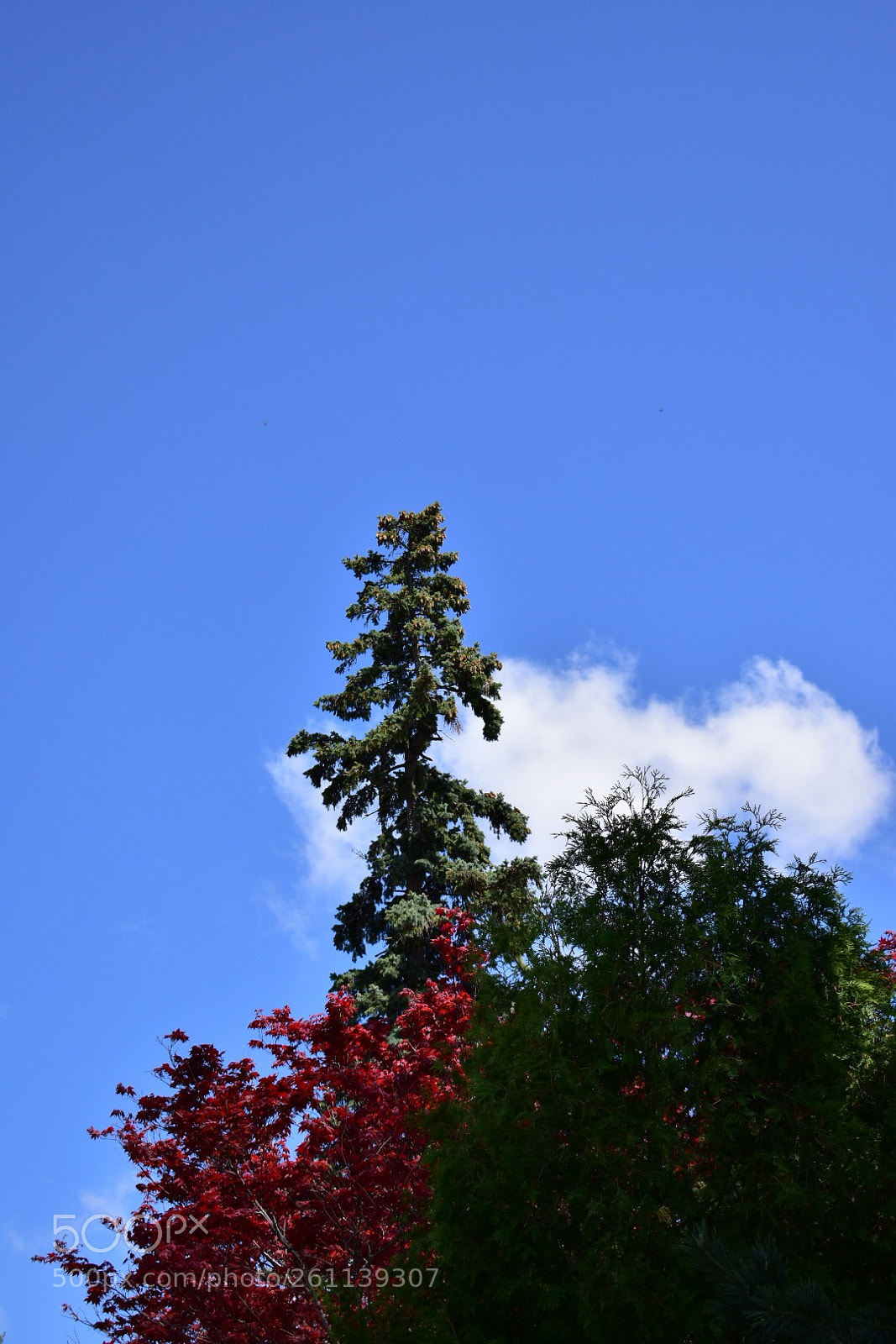 Nikon D3400 sample photo. Untitled photography