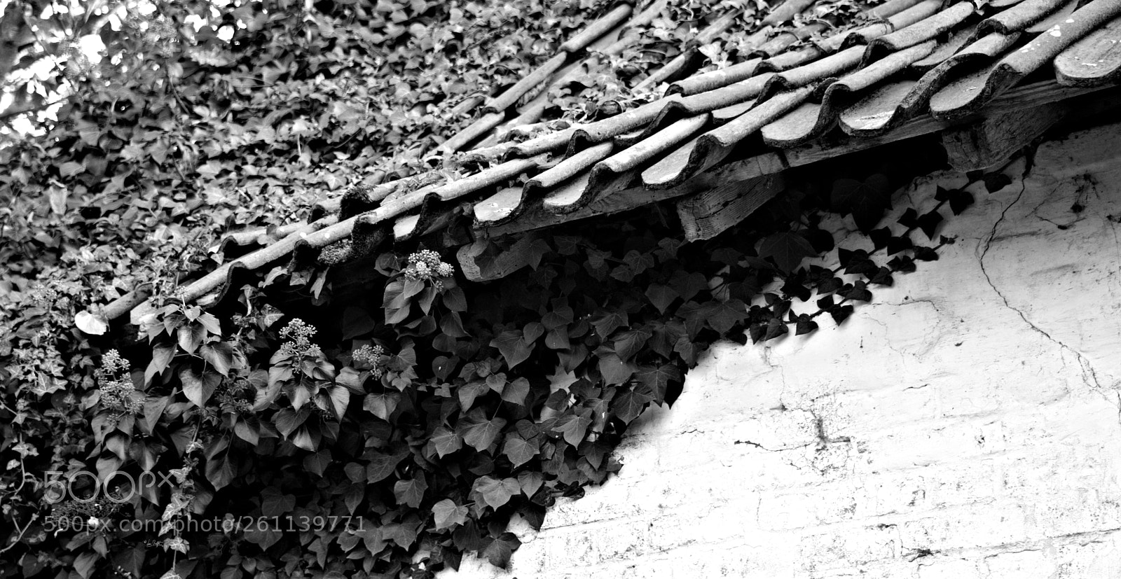 Nikon D800 sample photo. Roof photography