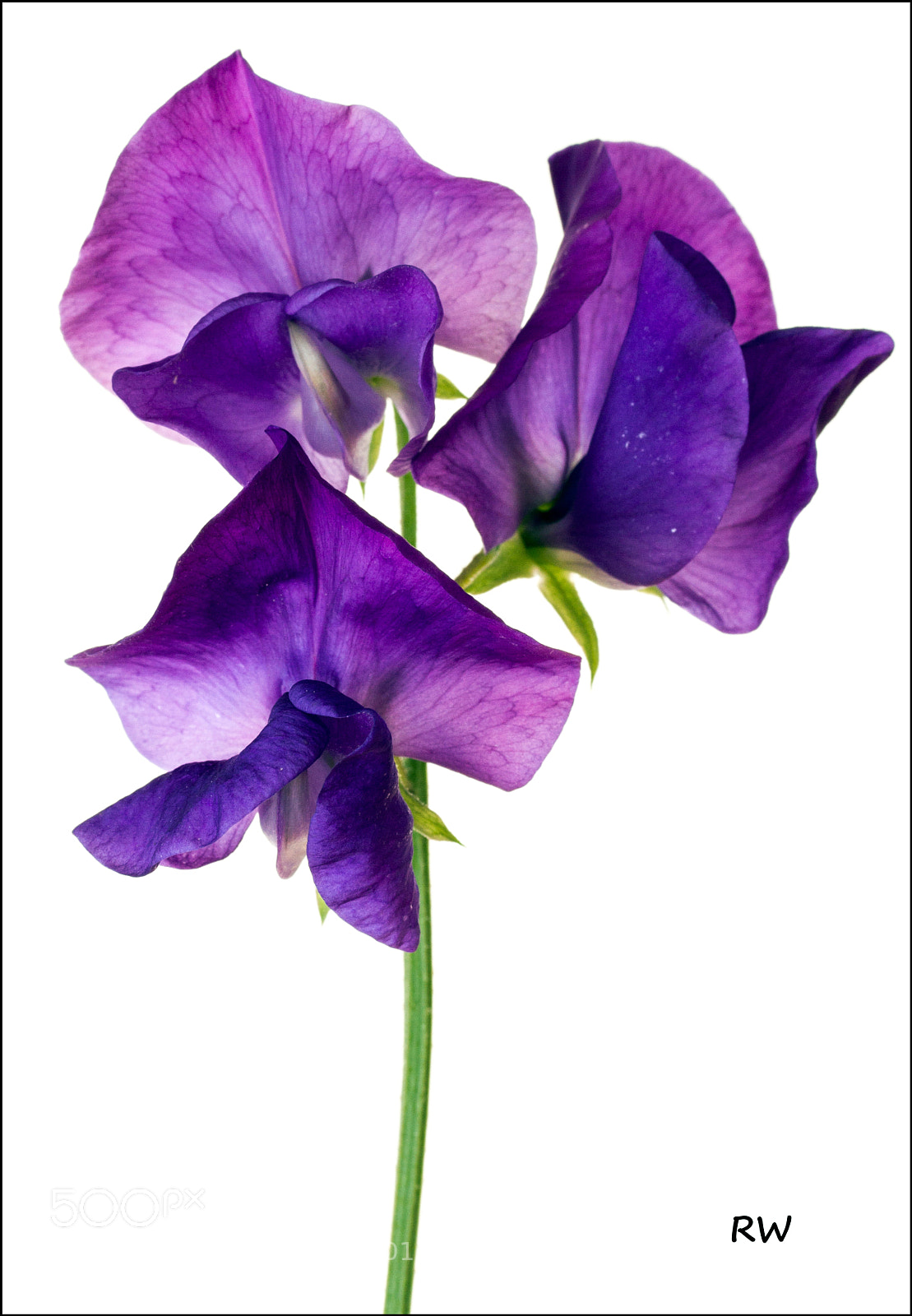 Canon EOS 7D sample photo. Shades of blue photography