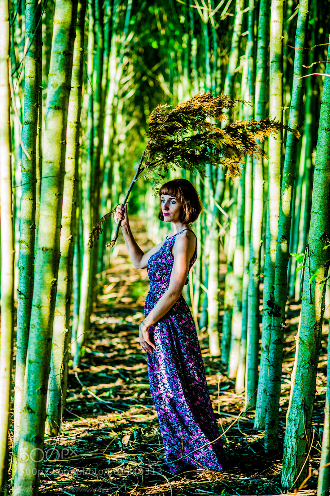 Nikon D700 sample photo. ....on the woodway... photography