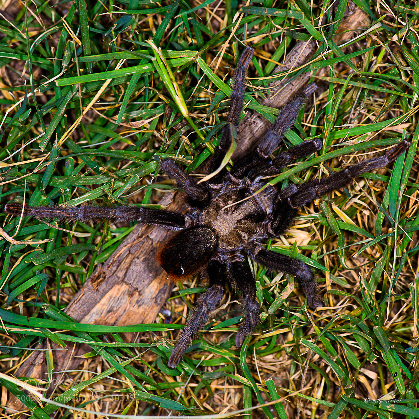 Nikon D800 sample photo. Dsc photography