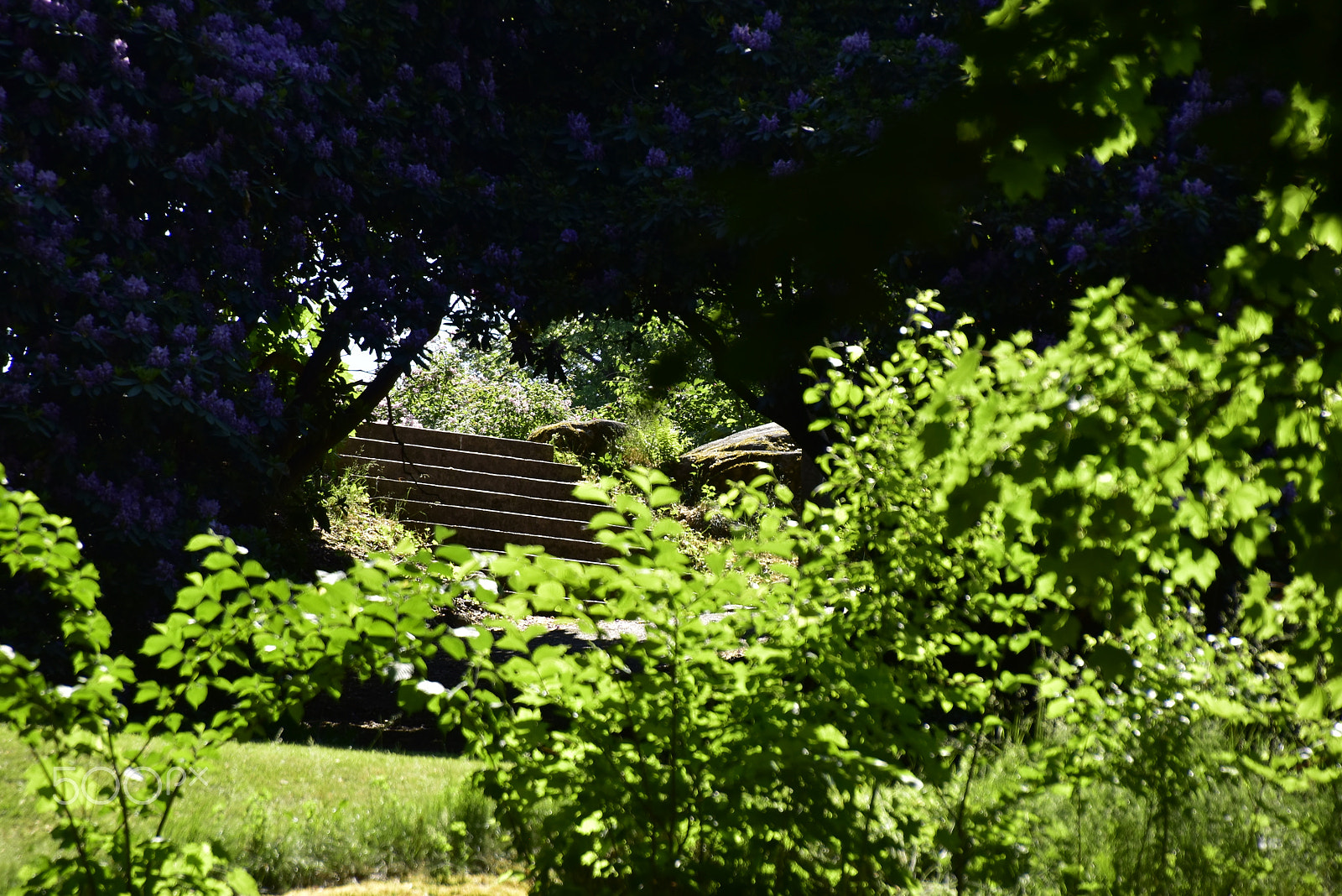 Nikon D5500 sample photo. Stadsparken_17 photography