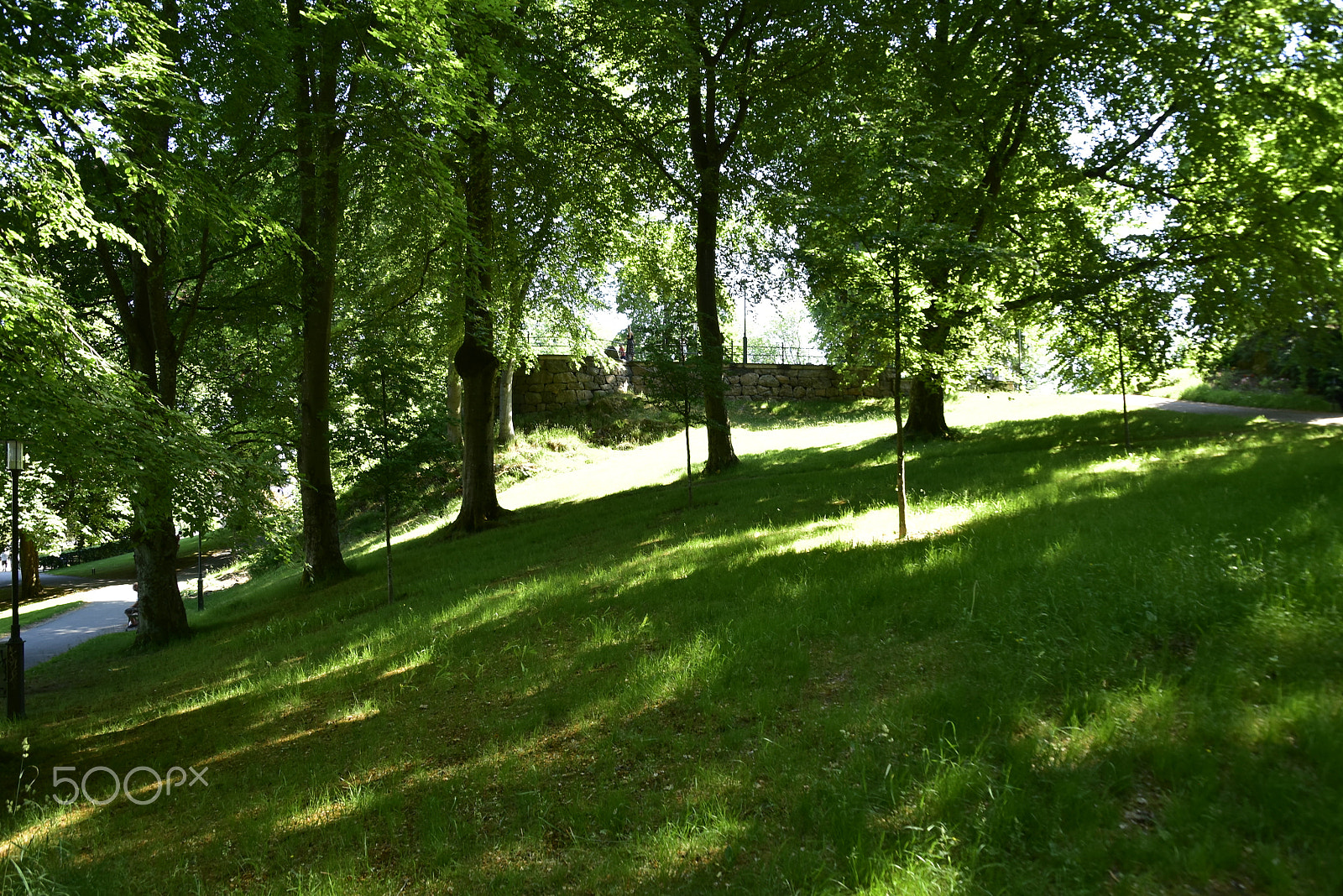 Nikon D5500 sample photo. Stadsparken_15 photography