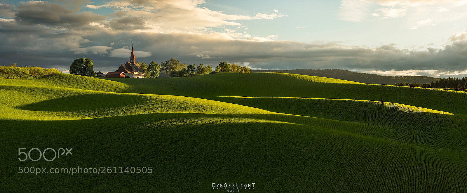 Nikon D810 sample photo. Hedenstad goes tuscany photography