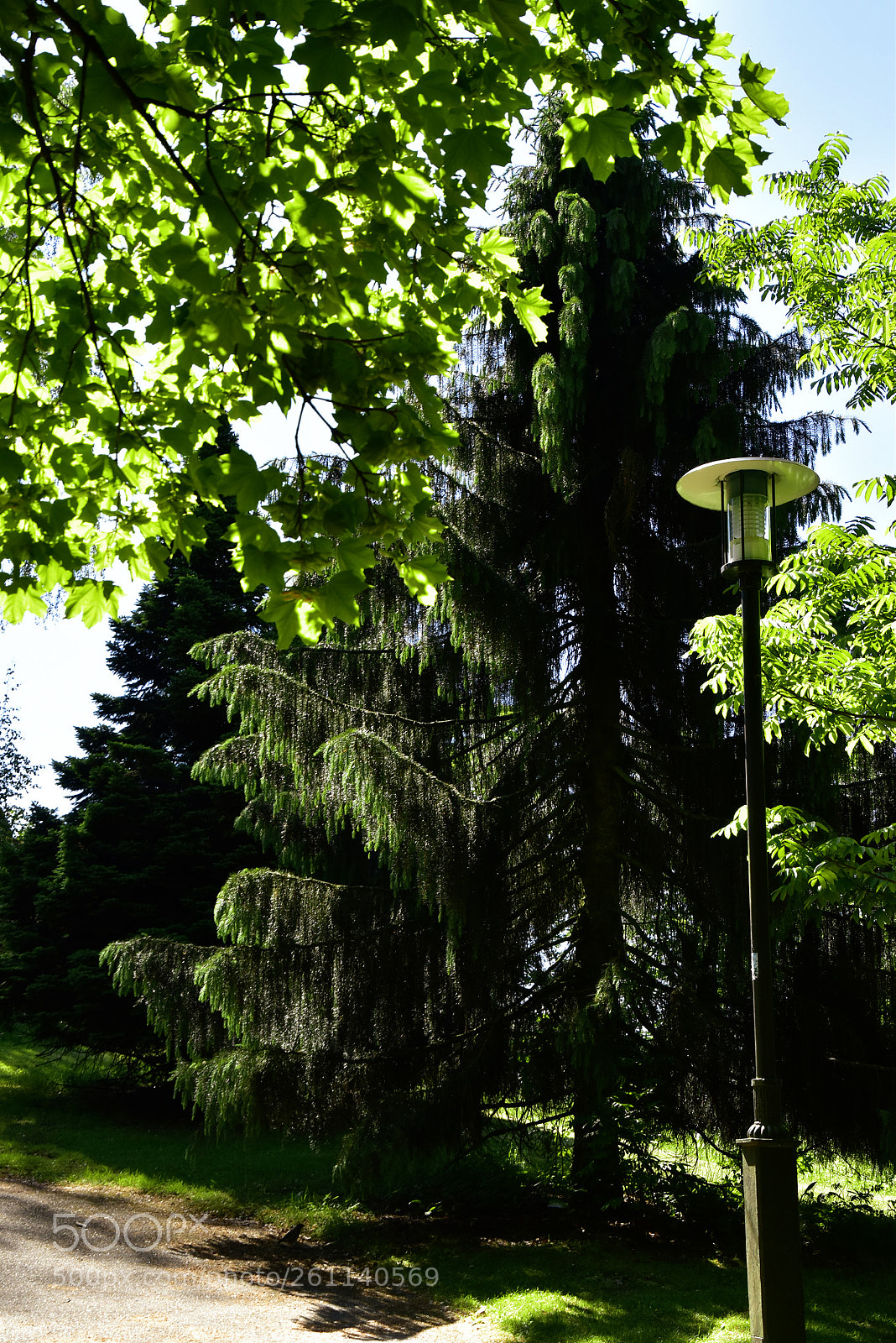Nikon D5500 sample photo. Stadsparken_18 photography