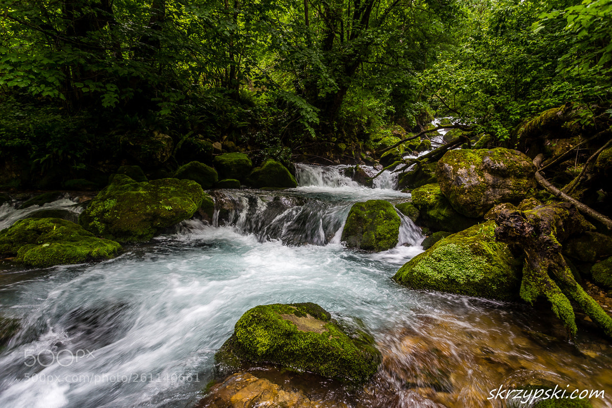 Canon EOS 6D sample photo. Waterfalls of georgia photography