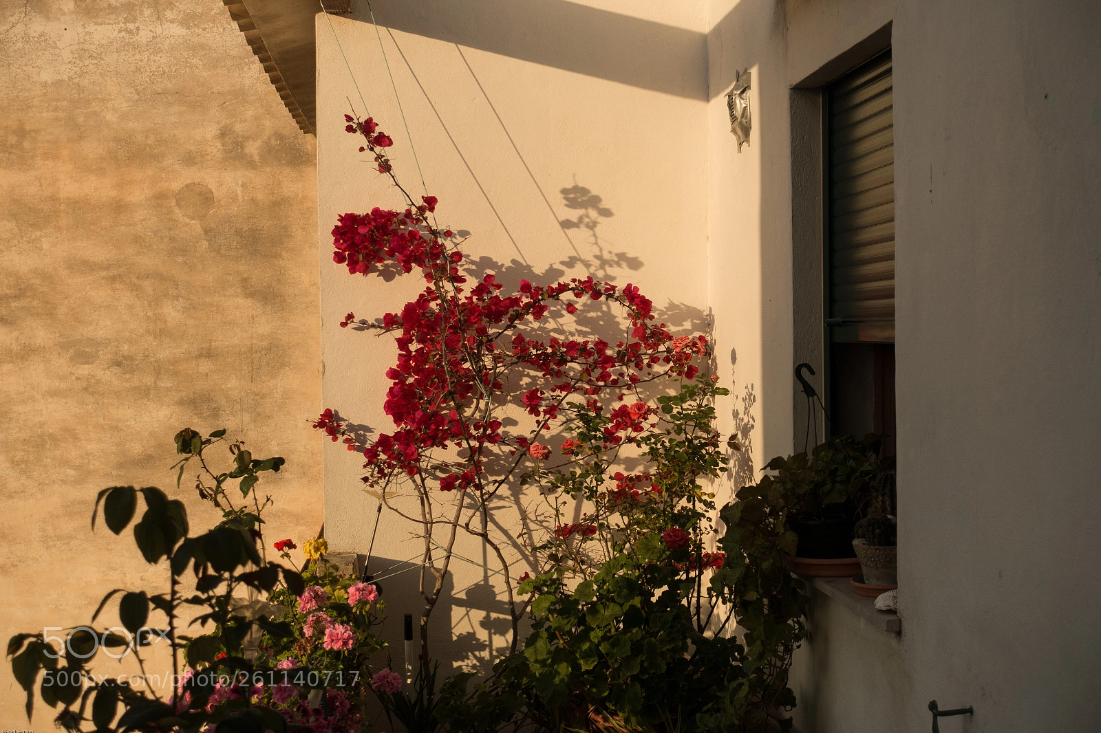 Sony Cyber-shot DSC-RX100 III sample photo. The balcony photography