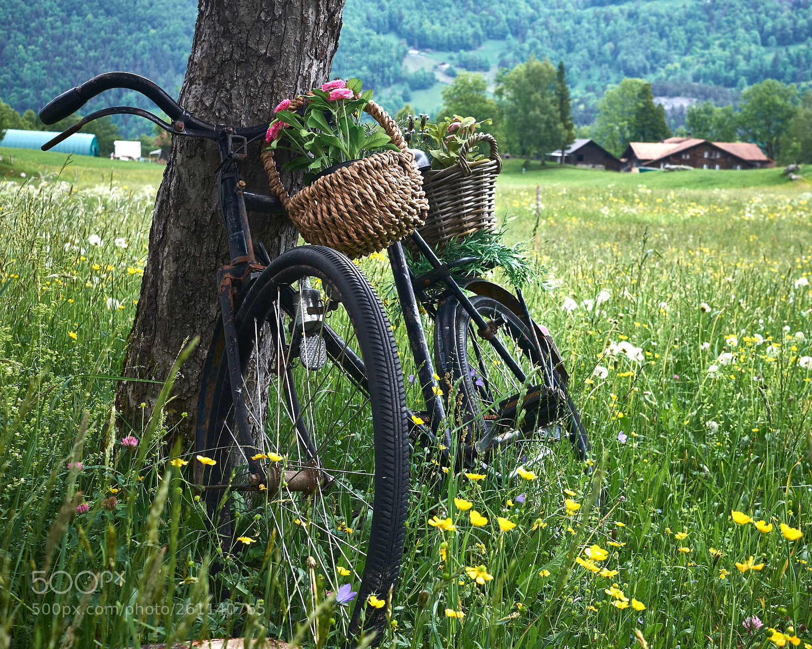 Fujifilm X-T1 sample photo. Aareschlucht photography