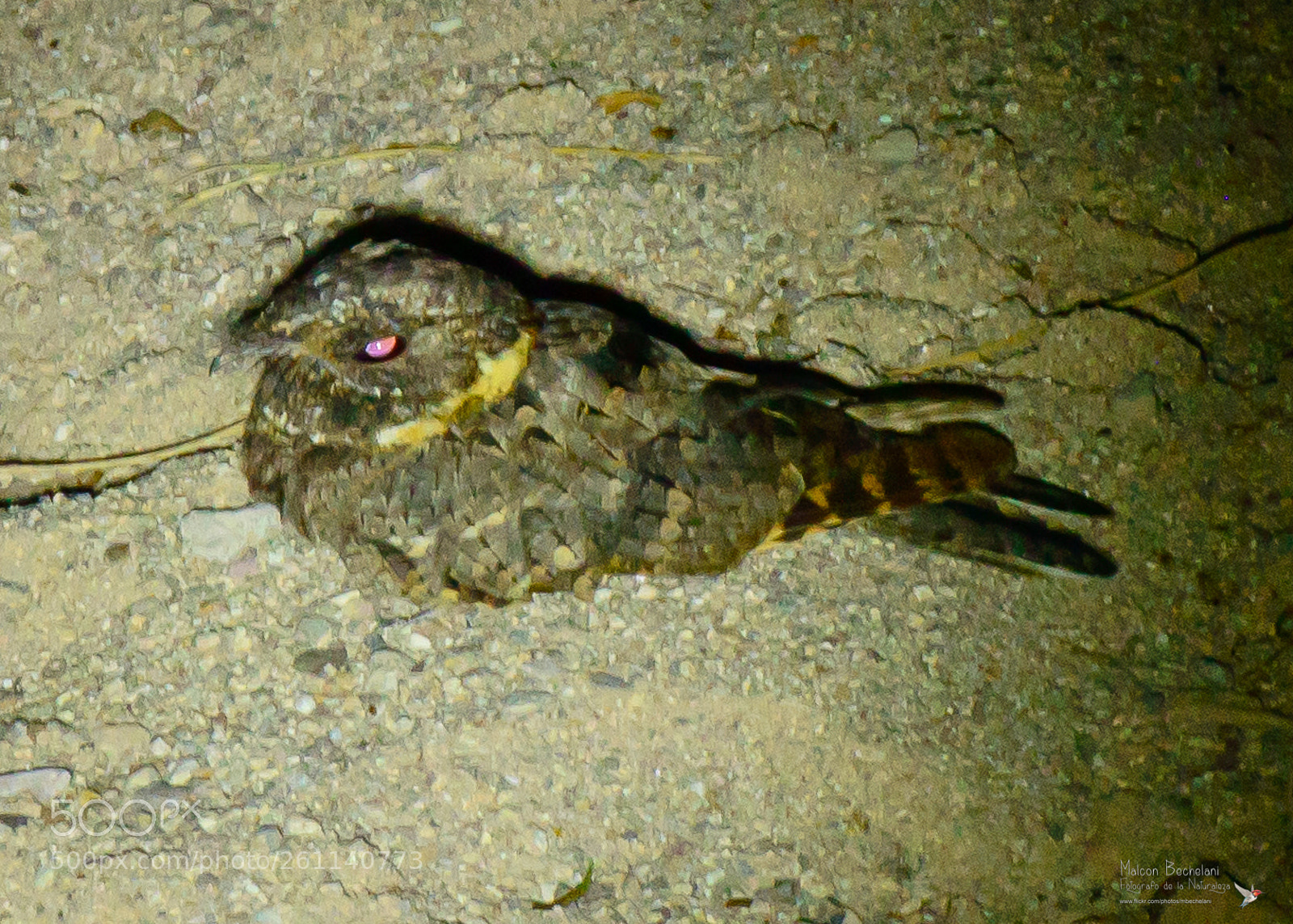 Nikon D800 sample photo. Dsc photography