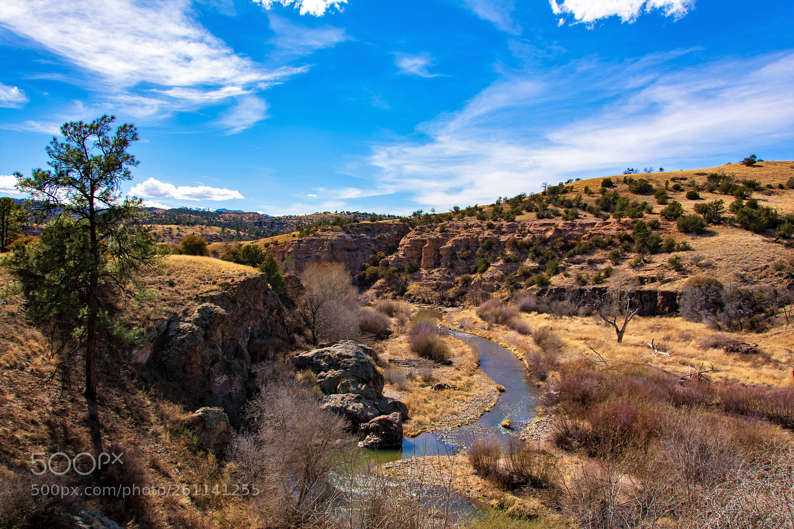 Nikon D7100 sample photo. Rivers in the wasteland photography