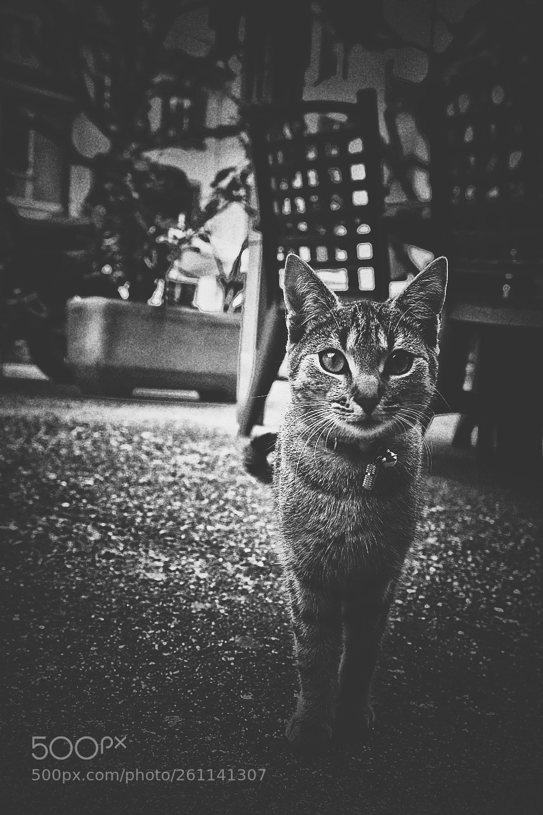 Nikon D7200 sample photo. Untitled photography