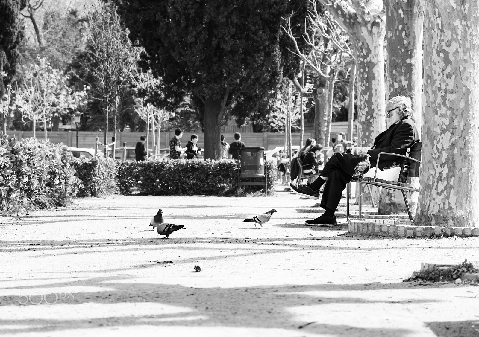 Fujifilm X-T10 sample photo. Man in park photography